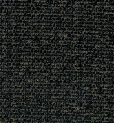 Elba Carbon swatch