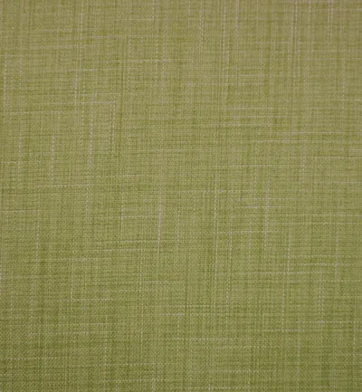 Emporio Olive swatch