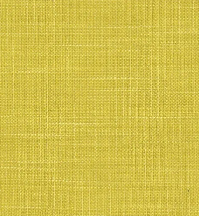 Emporio Mustard swatch