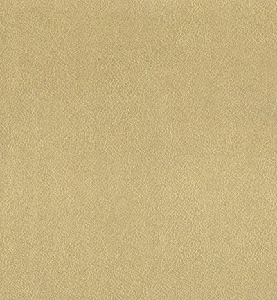 Enduro Bronze swatch