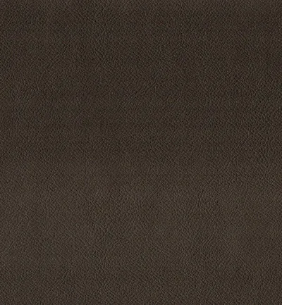 Enduro Caramel swatch