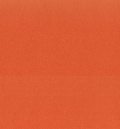 Enduro Tangerine swatch