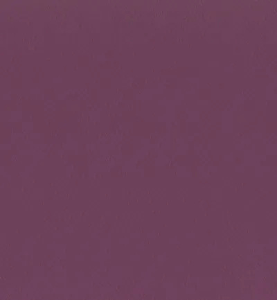 Enduro Violet swatch