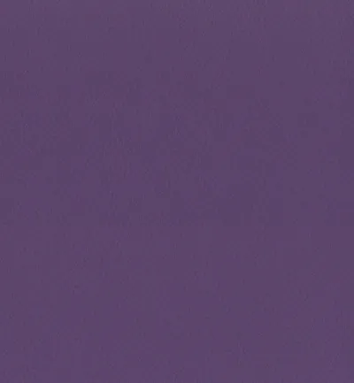 Enduro Berry swatch