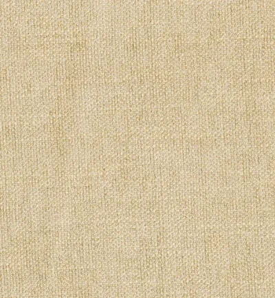 Finesse Cream swatch