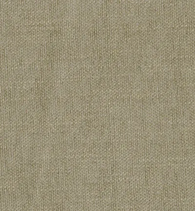 Finesse Camel swatch