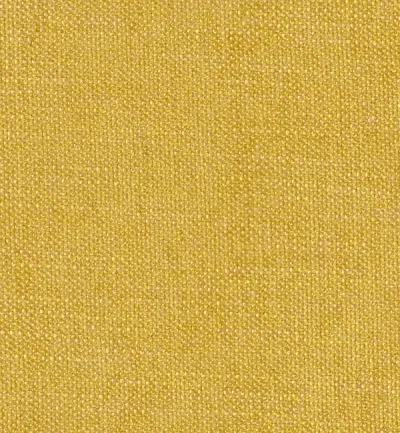 Finesse Honey swatch