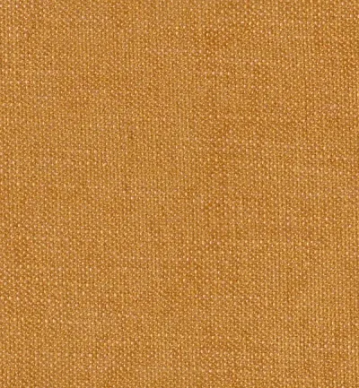 Finesse Mustard swatch