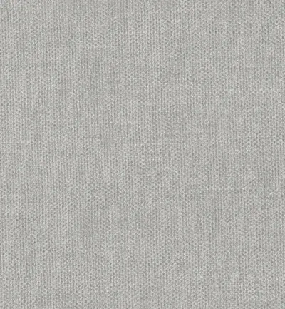 Finesse Silver swatch