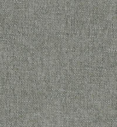 Finesse Ash swatch