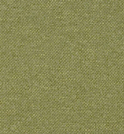 Garda Lichen swatch