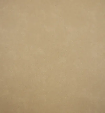 Infiniti Caramel swatch