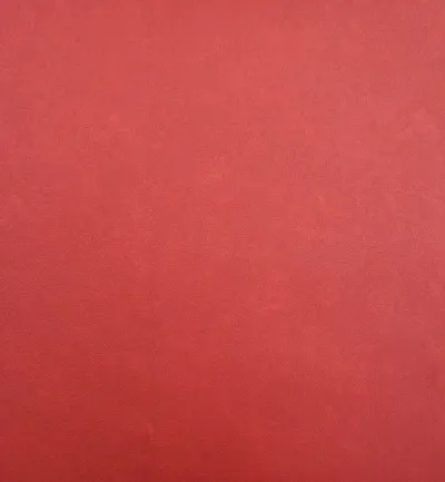 Infiniti Salsa swatch