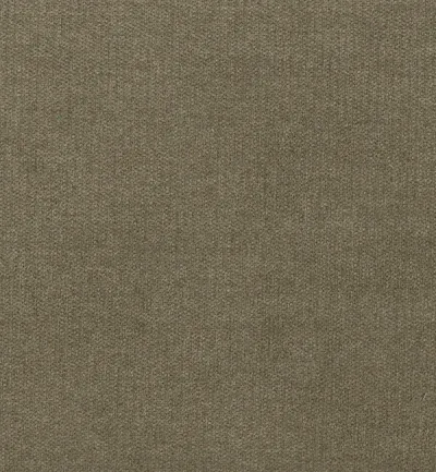 Luna Taupe swatch