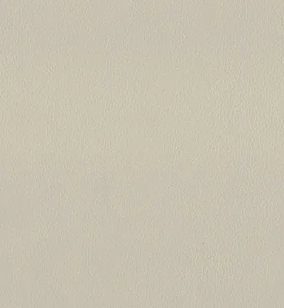Maximo Chalk swatch