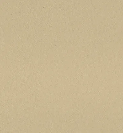 Maximo Biscuit swatch