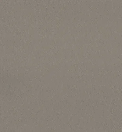 Maximo Taupe swatch
