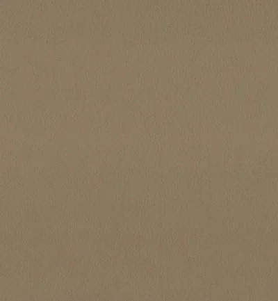 Maximo Fudge swatch