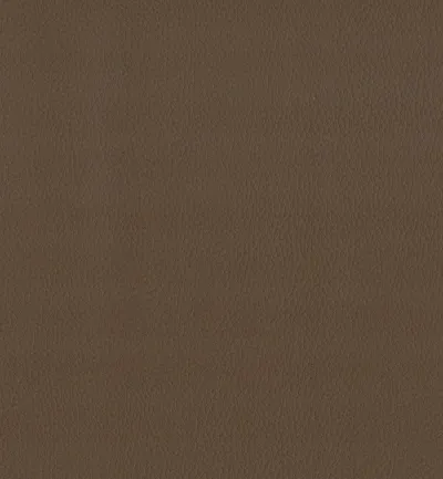 Maximo Tan swatch