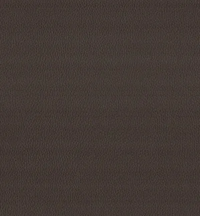 Maximo Chocolate swatch