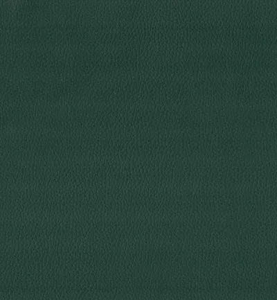 Maximo Celtic swatch