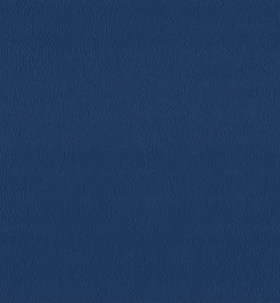 Maximo Marine swatch