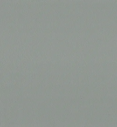 Maximo Mist swatch