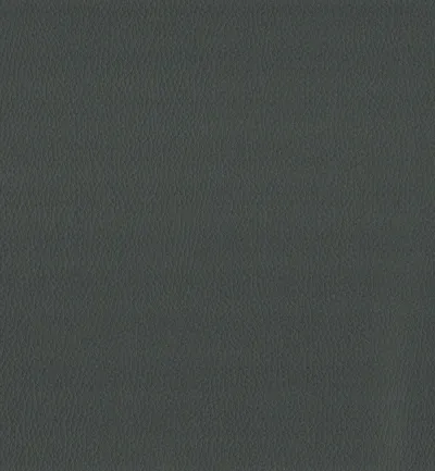 Maximo Grey swatch