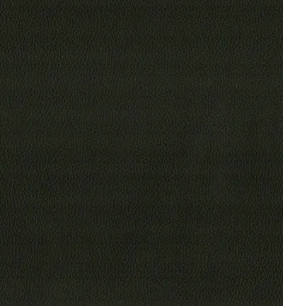 Maximo Black swatch
