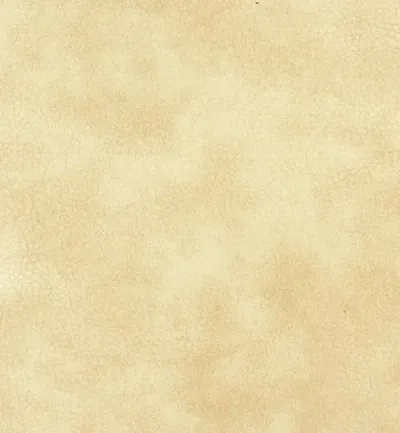 Memphis Vanilla swatch