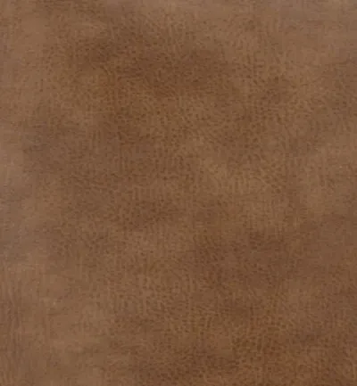 Memphis Saddle swatch