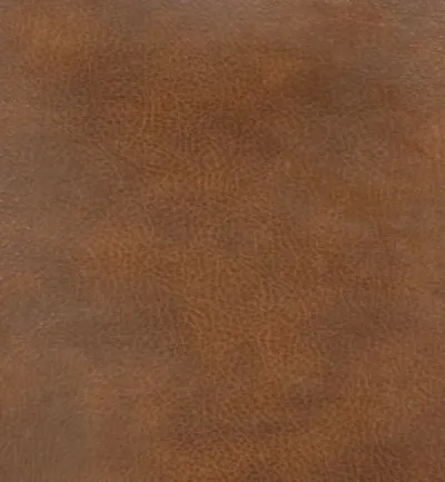 Memphis Spanish swatch