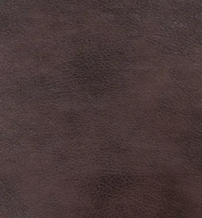 Memphis Regal swatch