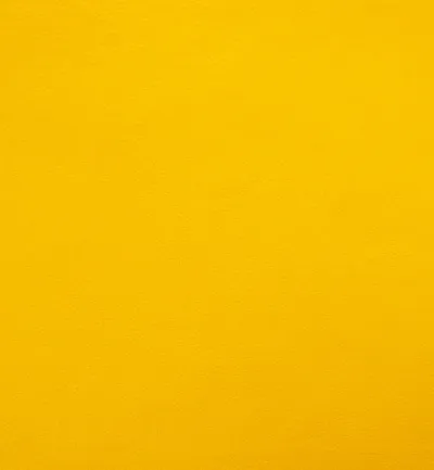 Citrus, Memphis by Cristina Marrone