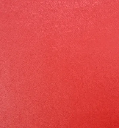 Memphis Poppy swatch