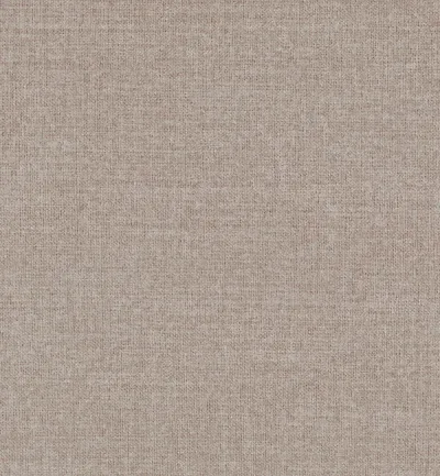 Moda Nutmeg swatch