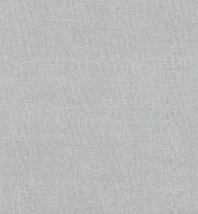 Moda Silver swatch