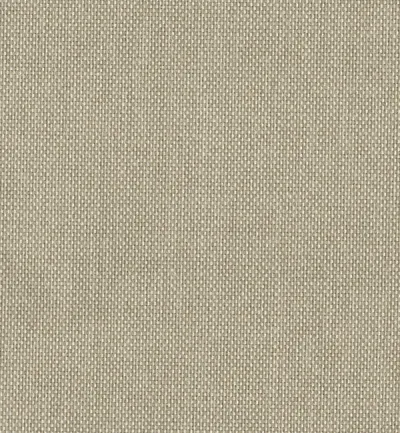 Padua Ryegrass swatch