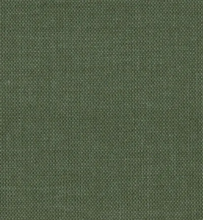 Padua Bristle swatch