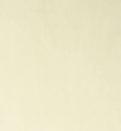 Passione Ivory swatch