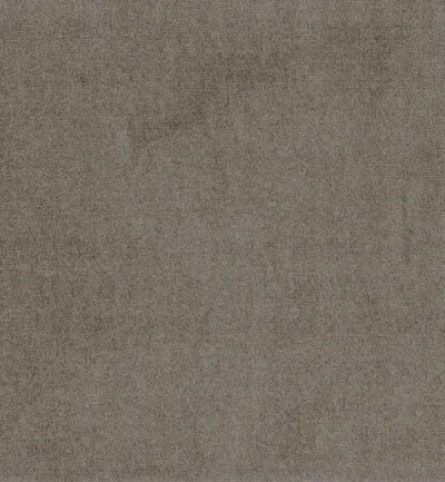 Passione Dim Grey swatch