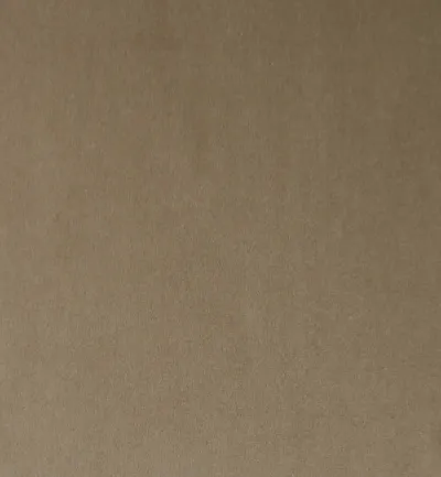 Passione Truffle swatch