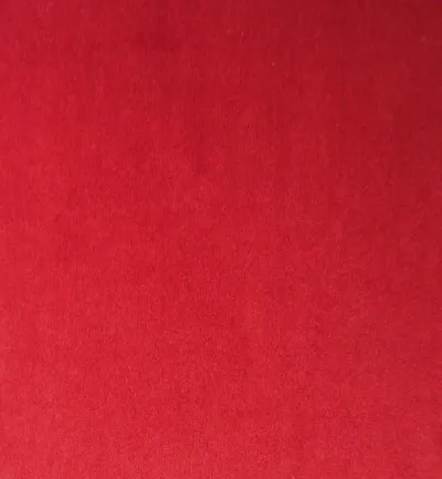 Passione Berry swatch