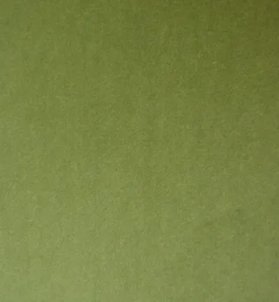 Passione Olive swatch