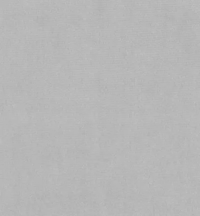 Passione Platinum swatch