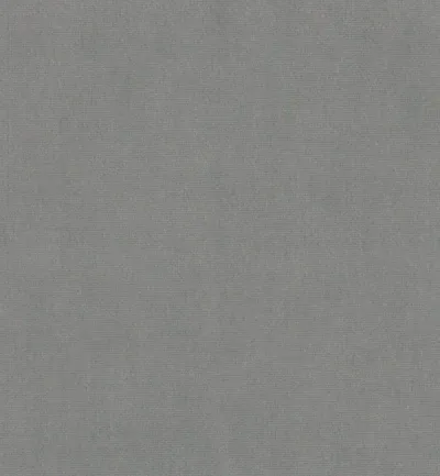 Passione Elephant swatch