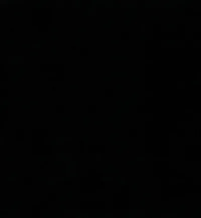 Passione Jet swatch