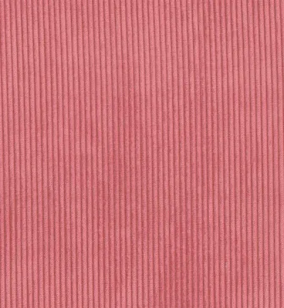 Ribelle Berry swatch