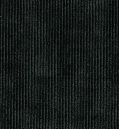 Ribelle Jet swatch
