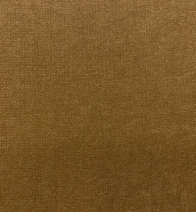 Roma Ochre swatch